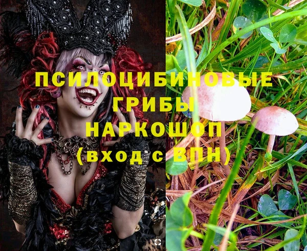 амфетамин Липки