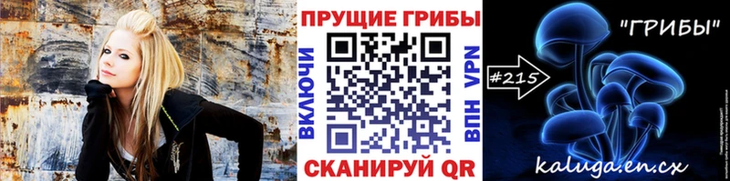 Псилоцибиновые грибы Psilocybine cubensis  купить  цена  Ядрин 